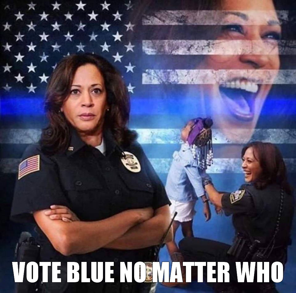 This meme features a photo of Kamala Harris, the Vice President of the United States, with a stern expression. The text "VOTE BLUE NO MATTER WHO" is overlaid on top of the image, implying that Harris's presence is a reason to vote for the Democratic Party regardless of who the presidential candidate is. The overall tone is one of defiance and determination.